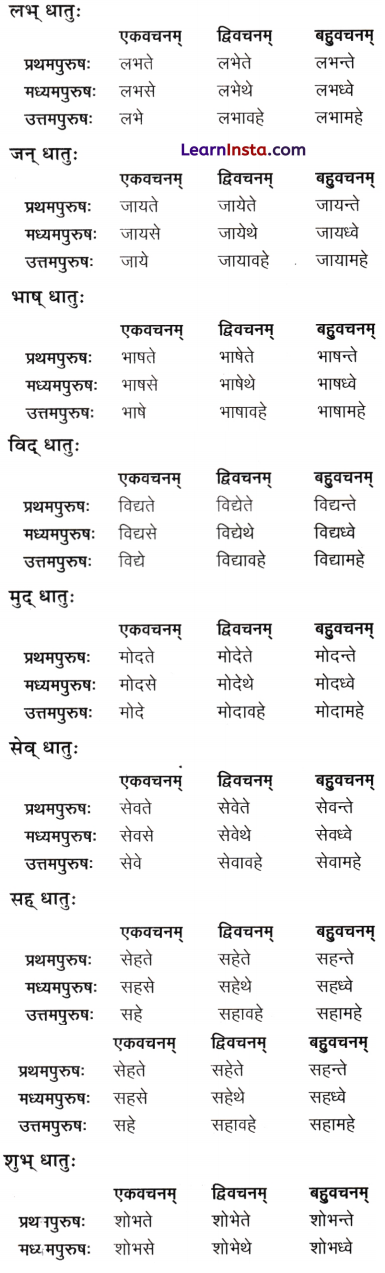 Class 9 Sanskrit Chapter 8 Question Answer अन्नाद् आनन्दं प्रति 4