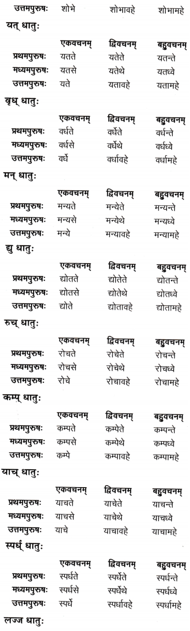 Class 9 Sanskrit Chapter 8 Question Answer अन्नाद् आनन्दं प्रति 5