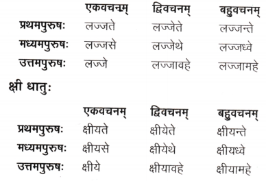 Class 9 Sanskrit Chapter 8 Question Answer अन्नाद् आनन्दं प्रति 6