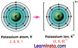 Atomic Foundations of Matter Class 9 Question Answer Science Exploration Chapter 9 10