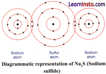 Atomic Foundations of Matter Class 9 Question Answer Science Exploration Chapter 9 13