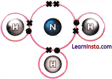 Atomic Foundations of Matter Class 9 Question Answer Science Exploration Chapter 9 9