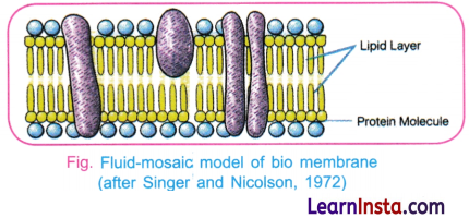 Cell The Building Block of Life Class 9 Extra Questions and Answer Science Chapter 2 1