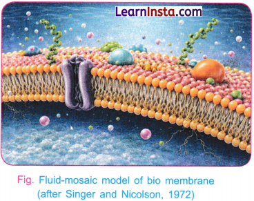 Cell The Building Block of Life Class 9 Notes Science Chapter 2 3
