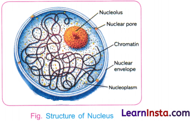 Cell The Building Block of Life Class 9 Notes Science Chapter 2 7