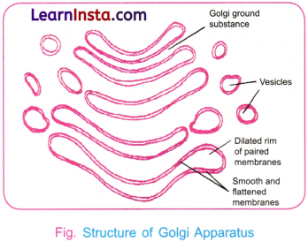 Cell The Building Block of Life Class 9 Notes Science Chapter 2 9