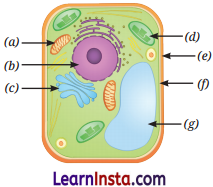 Cell The Building Block of Life Class 9 Question Answer Science Exploration Chapter 2 1