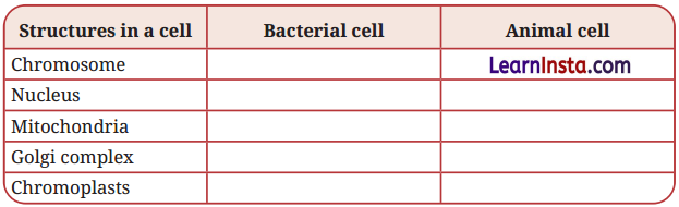 Cell The Building Block of Life Class 9 Question Answer Science Exploration Chapter 2 3