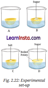 Cell The Building Block of Life Class 9 Question Answer Science Exploration Chapter 2 4