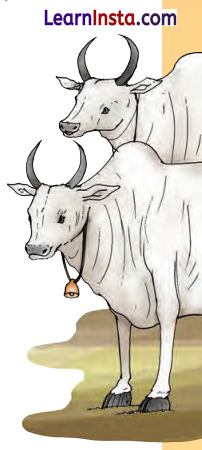 Class 9 Hindi Ganga Chapter 1 Question Answer दो बैलों की कथा 1