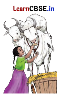 Class 9 Hindi Ganga Chapter 1 Question Answer दो बैलों की कथा 7