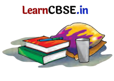 Class 9 Hindi Ganga Chapter 2 Question Answer क्या लिखूँ 1