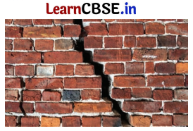 Class 9 Hindi Ganga Chapter 7 Question Answer मैं और मेरा देश 5