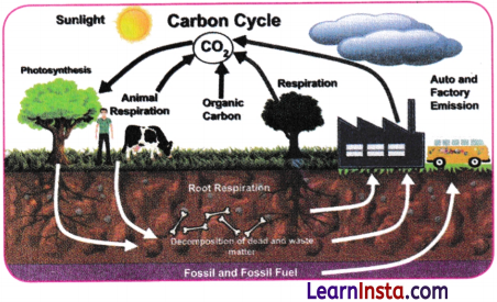 Earth as a System Energy Matter and Life Class 9 Notes Science Chapter 13 3
