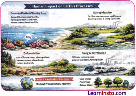 Earth as a System Energy Matter and Life Class 9 Notes Science Chapter 13 4