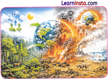 Earth as a System Energy Matter and Life Class 9 Question Answer Science Exploration Chapter 13 1