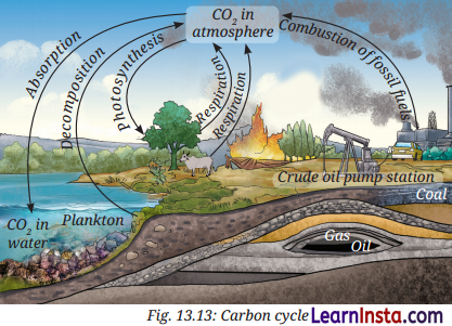 Earth as a System Energy Matter and Life Class 9 Question Answer Science Exploration Chapter 13 2