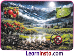 Earth as a System Energy Matter and Life Class 9 Question Answer Science Exploration Chapter 13 3
