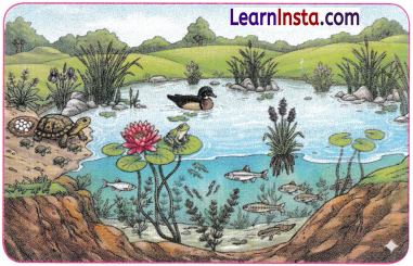 Exploration Entering the World of Secondary Science Class 9 Notes Science Chapter 1 3