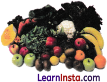 Exploring Mixtures and Their Separation Class 9 Extra Questions and Answer Science Chapter 2