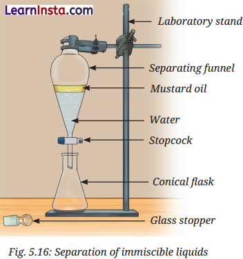 Exploring Mixtures and Their Separation Class 9 Notes Science Chapter 5 5