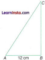 Ganita Manjari Class 9 Chapter 6 Solutions Measuring Space Perimeter and Area End of Ch Ex Q4