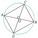 I’m Up and Down and Round and Round Class 9 MCQ Maths Chapter 5 18