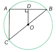 I’m Up and Down and Round and Round Class 9 MCQ Maths Chapter 5 3