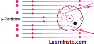 Journey Inside the Atom Class 9 Extra Questions and Answer Science Chapter 8 2