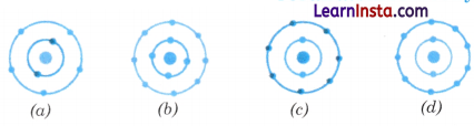Journey Inside the Atom Class 9 MCQ Questions Science Chapter 8 3