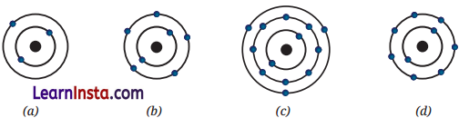 Journey Inside the Atom Class 9 Question Answer Science Exploration Chapter 8 2