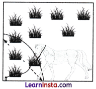 Measuring Space Perimeter and Area Class 9 Extra Questions Maths Chapter 6 Q89