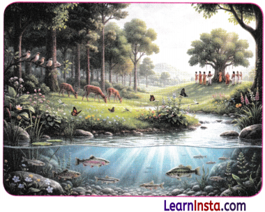 Patterns in Life Diversity and Classification Class 9 Notes Science Chapter 12 3