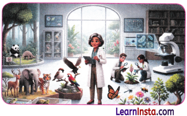 Patterns in Life Diversity and Classification Class 9 Notes Science Chapter 12 5
