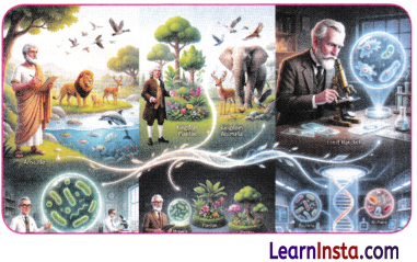 Patterns in Life Diversity and Classification Class 9 Notes Science Chapter 12 6
