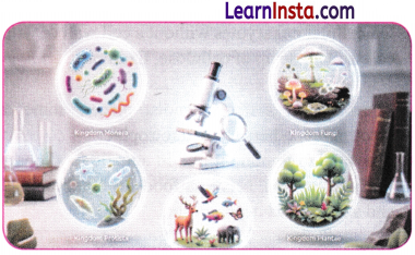 Patterns in Life Diversity and Classification Class 9 Notes Science Chapter 12 7