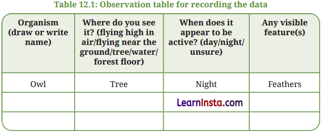 Patterns in Life Diversity and Classification Class 9 Question Answer Science Exploration Chapter 12 5