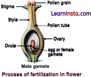 Reproduction How Life Continues Class 9 Extra Questions and Answer Science Chapter 11 1