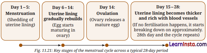 Reproduction How Life Continues Class 9 Extra Questions and Answer Science Chapter 11 2