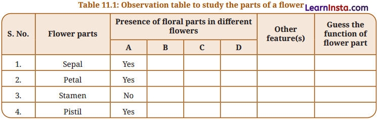 Reproduction How Life Continues Class 9 Question Answer Science Exploration Chapter 11 11