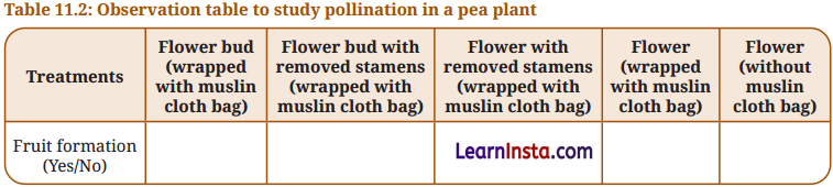 Reproduction How Life Continues Class 9 Question Answer Science Exploration Chapter 11 113