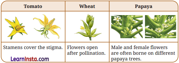 Reproduction How Life Continues Class 9 Question Answer Science Exploration Chapter 11 2