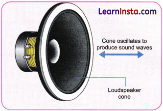Sound Waves Characteristics and Applications Class 9 Extra Questions and Answer Science Chapter 10 8
