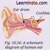 Sound Waves Characteristics and Applications Class 9 Notes Science Chapter 10 4