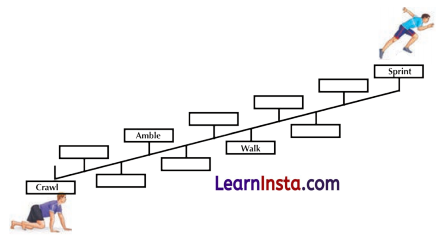 The World of Limitless Possibilities Question Answer Class 9 English Kaveri Chapter 5 6