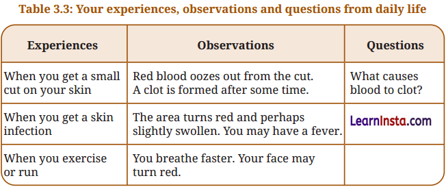 Tissues in Action Class 9 Question Answer Science Exploration Chapter 3 10