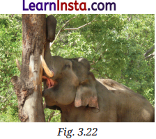 Tissues in Action Class 9 Question Answer Science Exploration Chapter 3 4