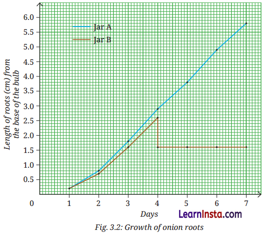 Tissues in Action Class 9 Question Answer Science Exploration Chapter 3 9