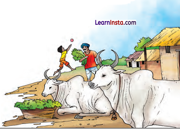 दो बैलों की कथा Class 9 Summary in Hindi Ganga Chapter 1 2