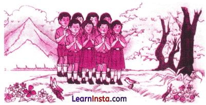 Chitra Varnan in Sanskrit Class 8 with Answers 1